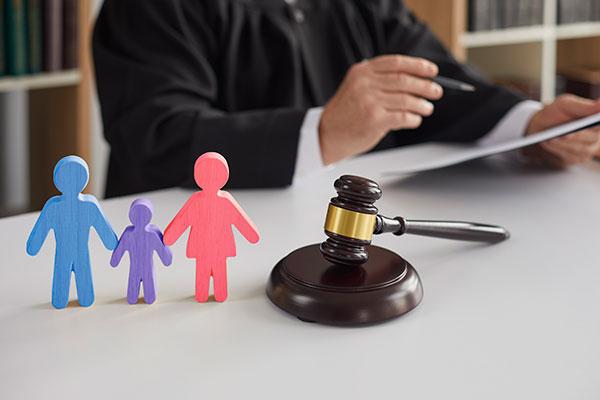 The Role of Evidence in Family Law Cases