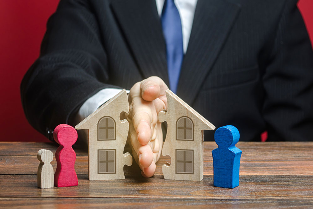 Property and Debt Division